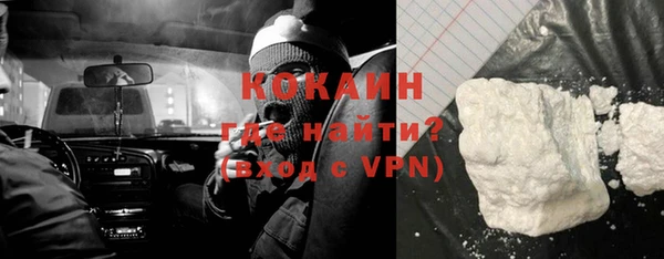 индика Аркадак