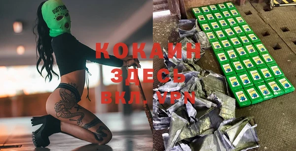индика Аркадак