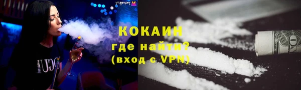индика Аркадак