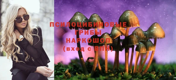 индика Аркадак