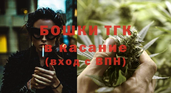 индика Аркадак