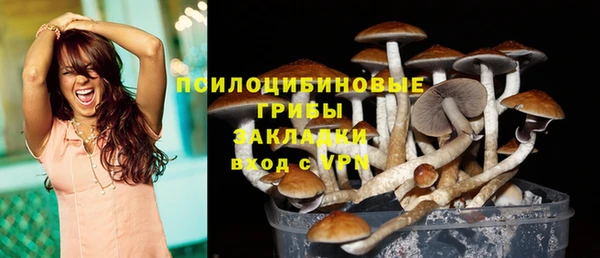 ALPHA PVP Армянск